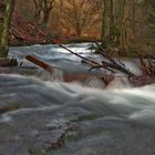 Hochwasser am Bach ...