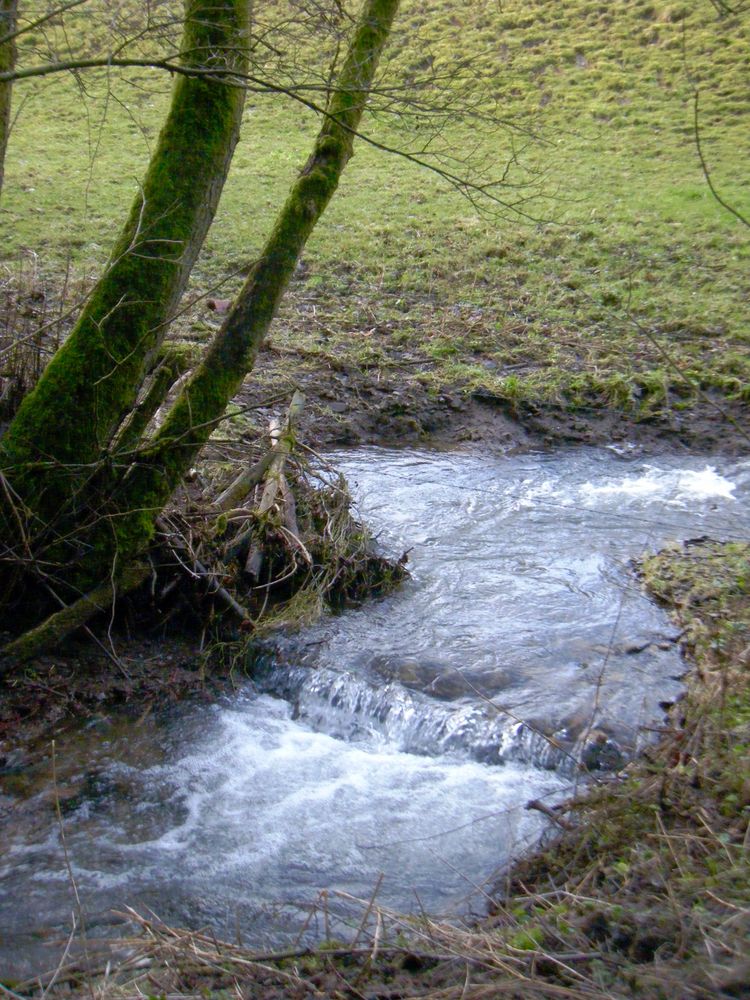 "Hochwasser" am Bach