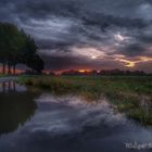 Hochwasser am Erdbeerfeld 