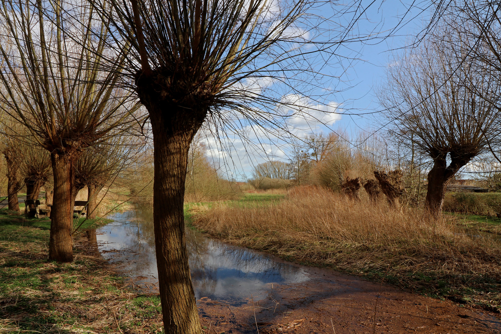 Hochwasser am Fischergraben