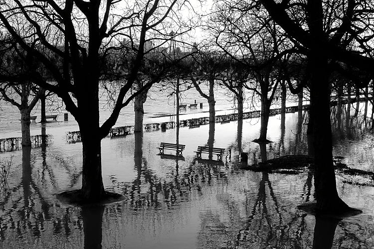 Hochwasser am Frankfurter Mainufer