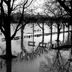 Hochwasser am Frankfurter Mainufer