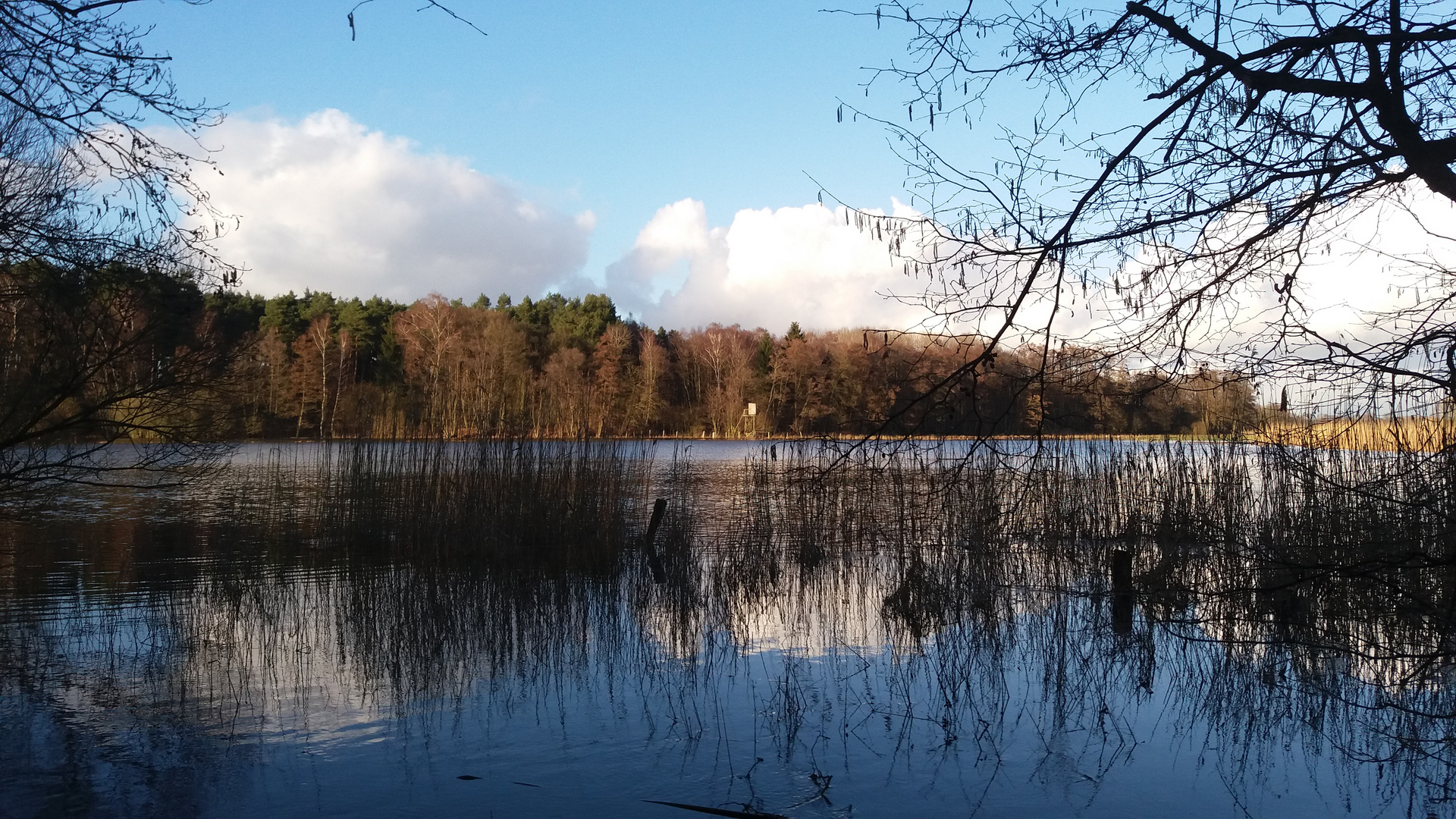 Hochwasser am Haus