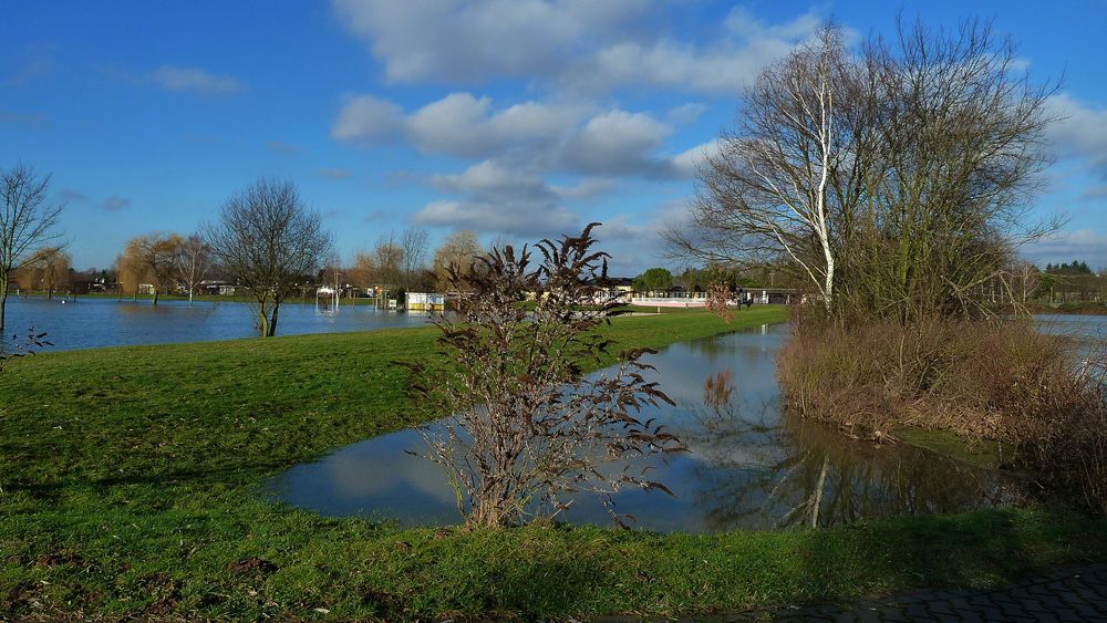 Hochwasser am Kinzigsee Foto & Bild landschaft, bach, fluss & see