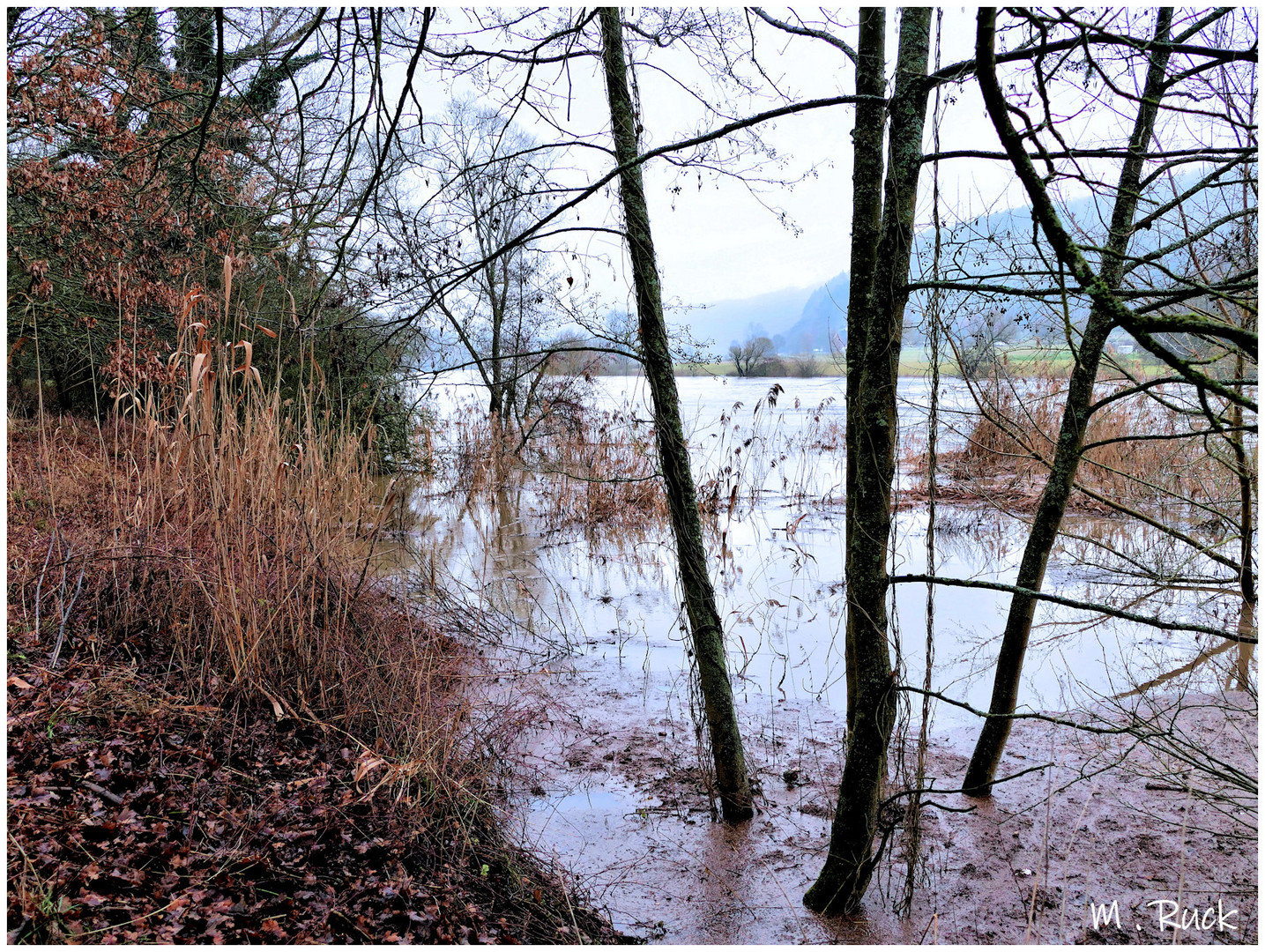 Hochwasser am Main ,