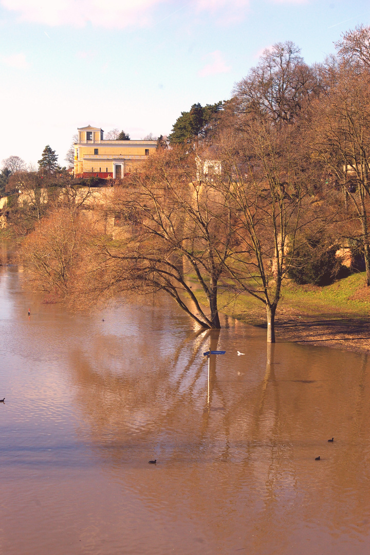 Hochwasser am Main