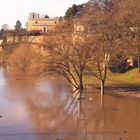 Hochwasser am Main