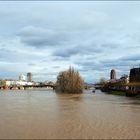 Hochwasser am Main # Aguas altas en el Meno