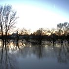 Hochwasser am Main an der bayerisch-hessischen Grenze