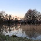 Hochwasser am Main bei Dettingen