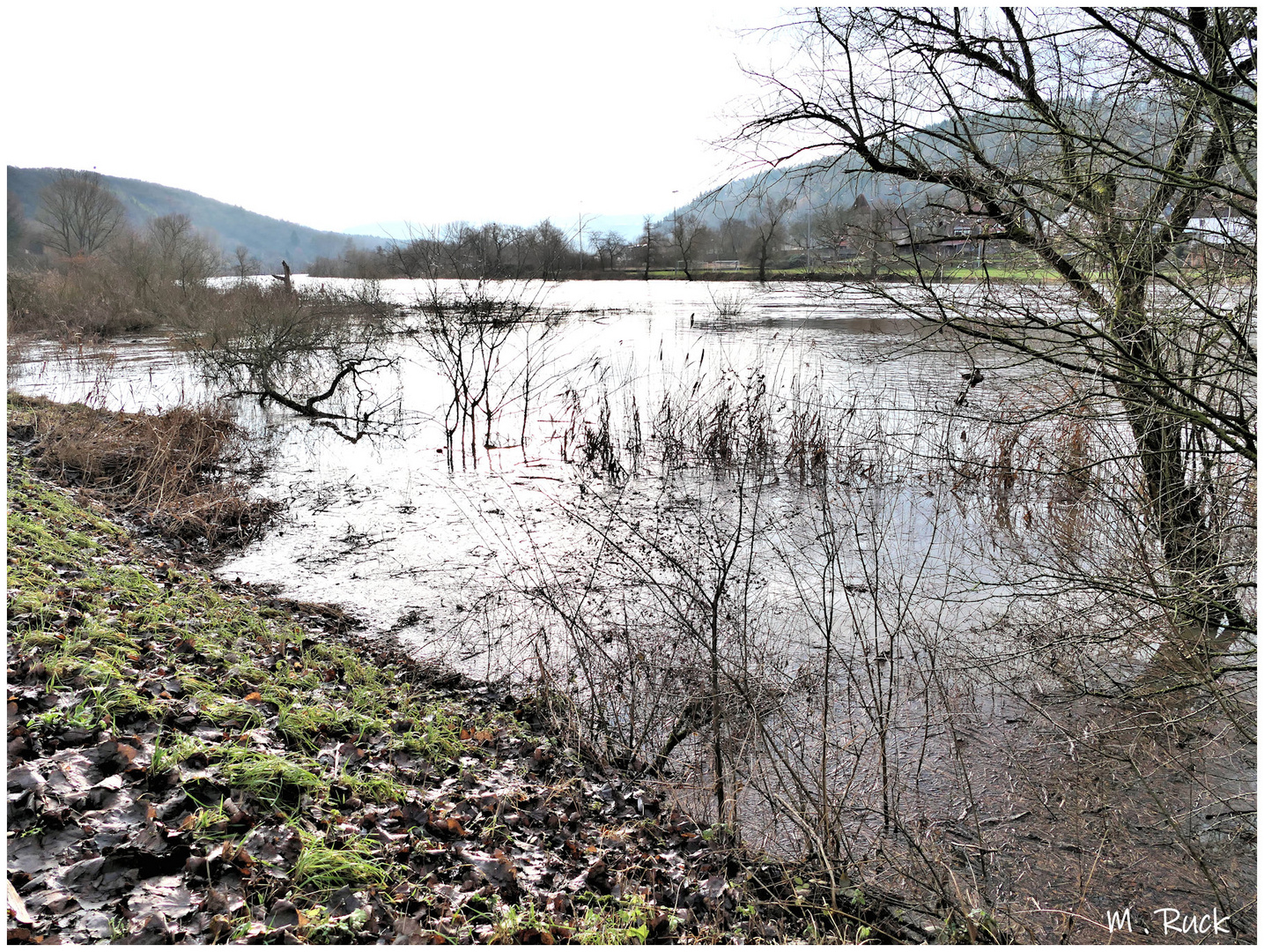 Hochwasser am Main ,