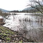 Hochwasser am Main ,