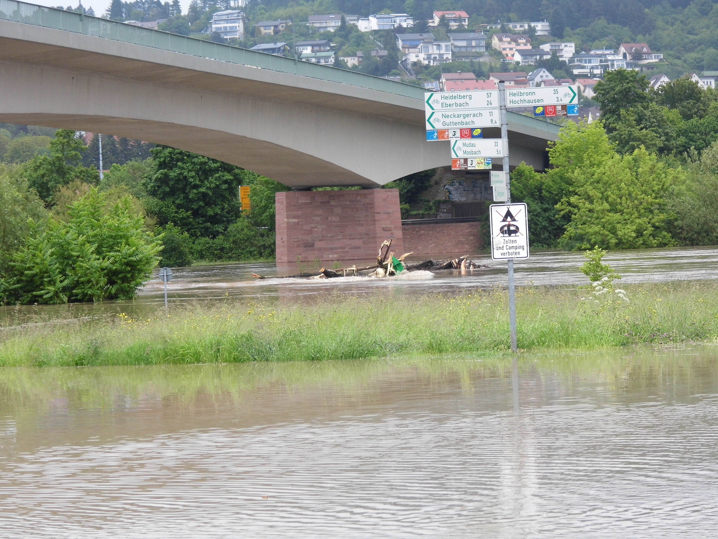 Hochwasser am Neckar im Juni 2013