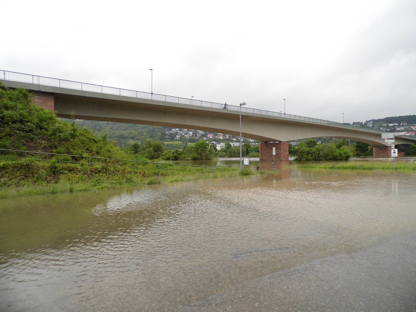 Hochwasser am Neckar im Juni 2013 Obrigheim