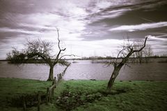 Hochwasser am Niederrhein