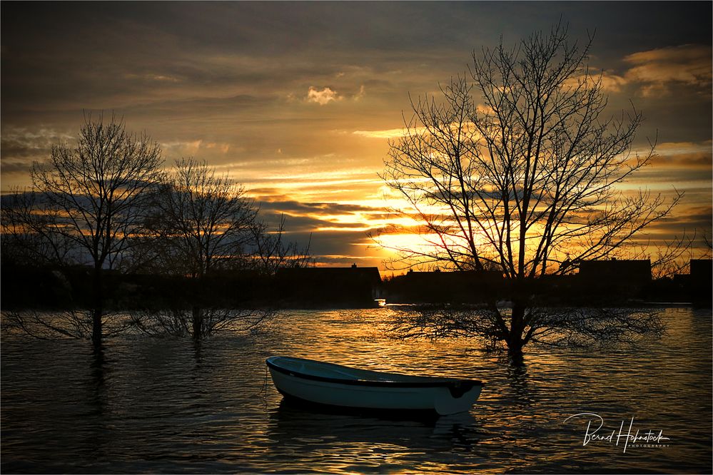 Hochwasser am Niederrhein .......