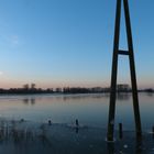 Hochwasser am Niederrhein