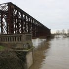 Hochwasser am Niederrhein-6