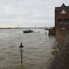 Hochwasser am Niederrhein-8