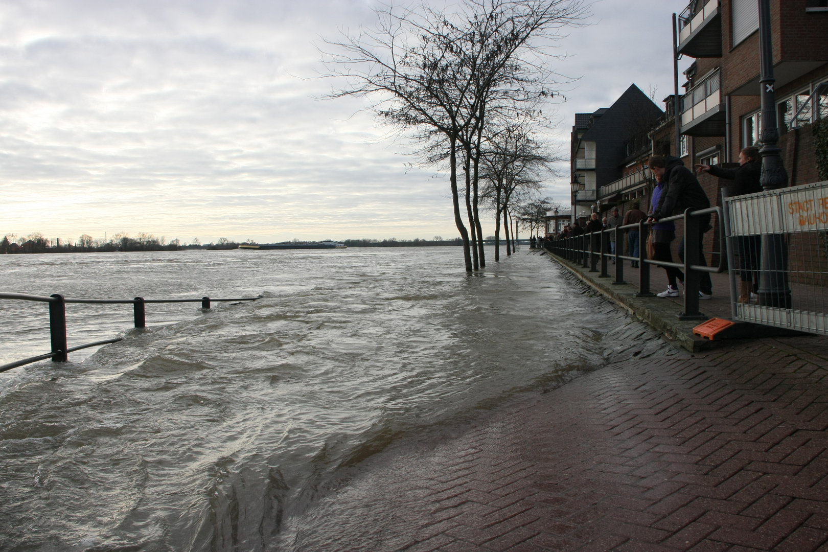 Hochwasser am Niederrhein-9