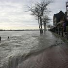 Hochwasser am Niederrhein-9