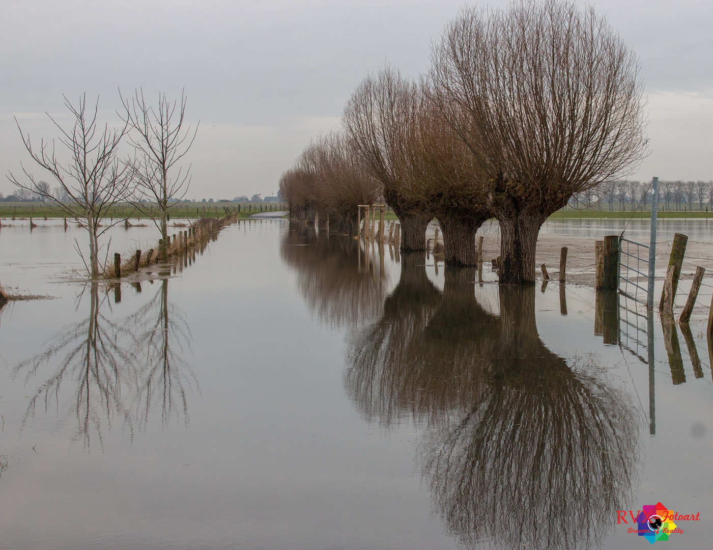 Hochwasser am Niederrhein