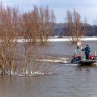 Hochwasser am Niederrhein