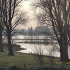 Hochwasser am Niederrhein mit Xantener Dom