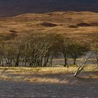 Hochwasser am Pass of Glencoe (2)