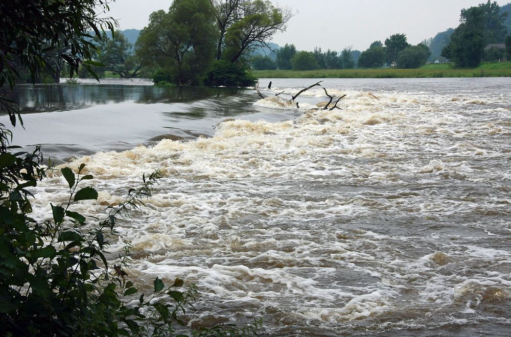 Hochwasser am Regen - 2 -