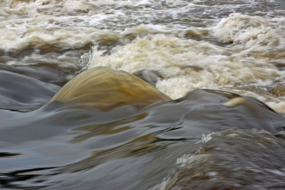 Hochwasser am Regen