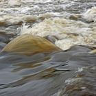 Hochwasser am Regen