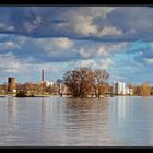 Hochwasser am Rhein #1