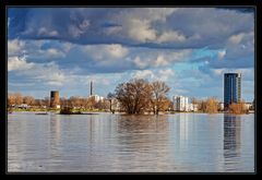 Hochwasser am Rhein #1