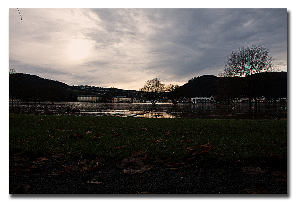 Hochwasser am Rhein 2