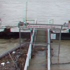 Hochwasser am Rhein 2