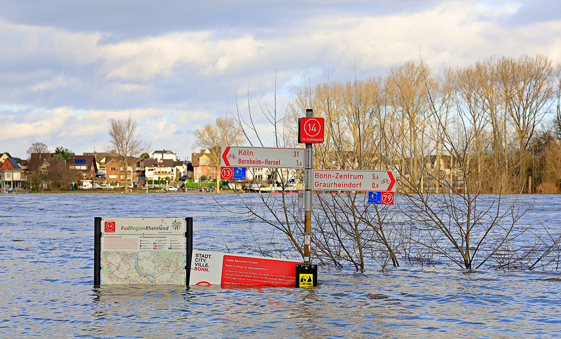 Hochwasser am Rhein 2023