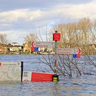 Hochwasser am Rhein 2023