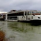 Hochwasser am Rhein !