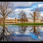 Hochwasser am Rhein #3