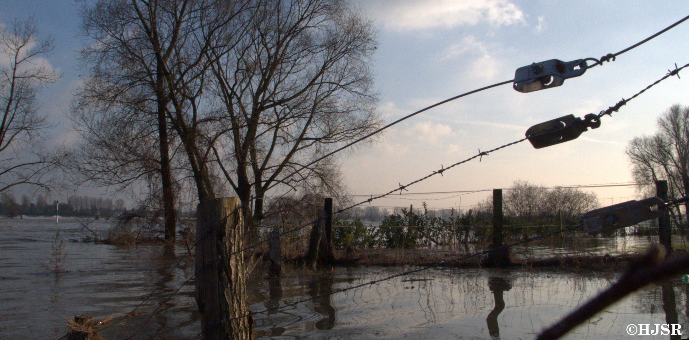 Hochwasser am Rhein