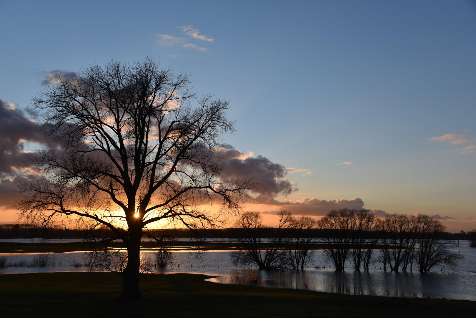 Hochwasser am Rhein