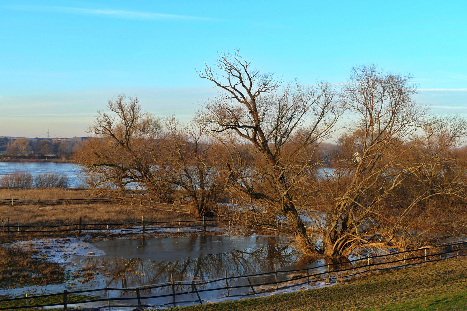 Hochwasser am Rhein