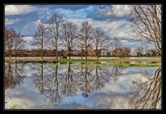 Hochwasser am Rhein #5