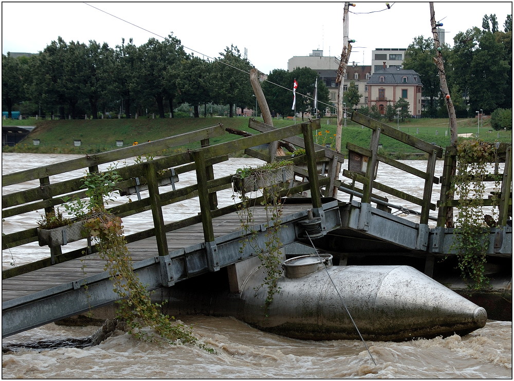 ... Hochwasser am Rhein ...