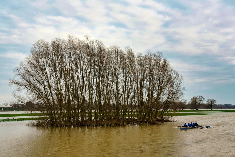 Hochwasser am Rhein