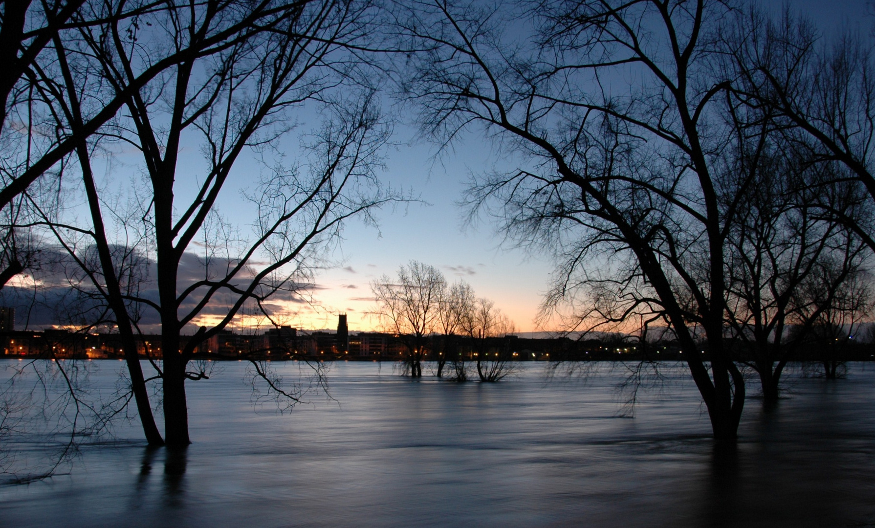 Hochwasser am Rhein