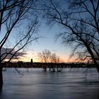 Hochwasser am Rhein