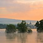 Hochwasser am Rhein