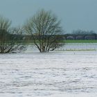 Hochwasser am Rhein